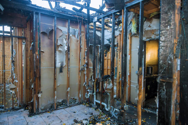 Professional Smoke Damage Removal technician working in Malone, FL